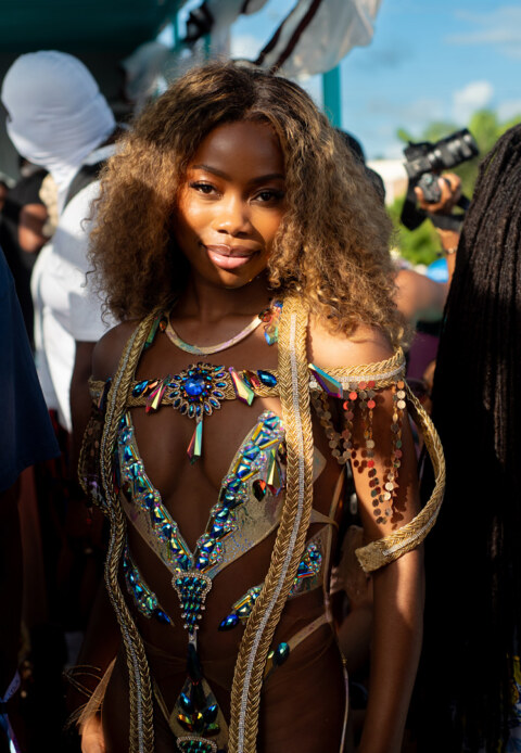 Image Not Found On Media Library