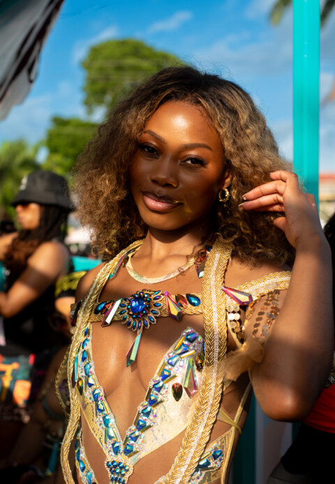 Image Not Found On Media Library