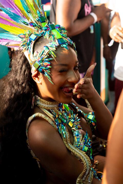 Image Not Found On Media Library