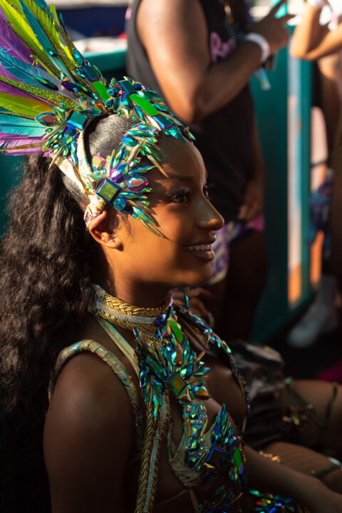 Image Not Found On Media Library