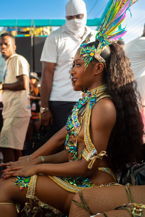 Image Not Found On Media Library