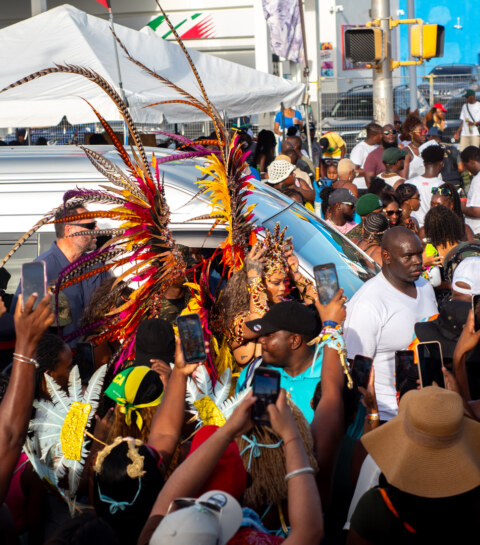 Image Not Found On Media Library