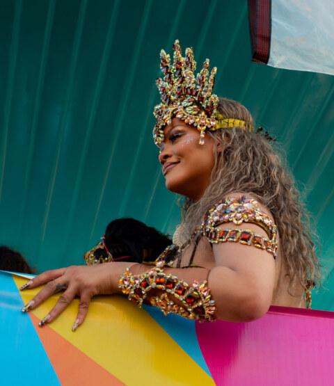 Image Not Found On Media Library