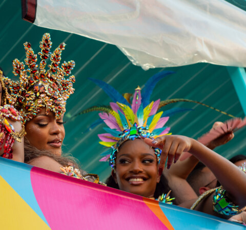 Image Not Found On Media Library