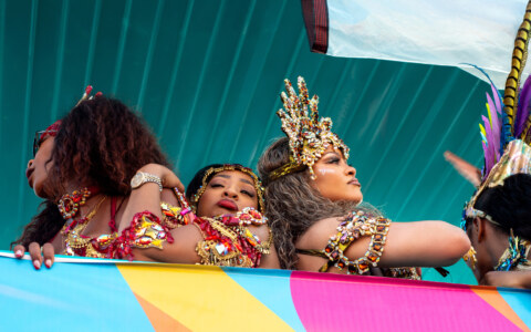 Image Not Found On Media Library