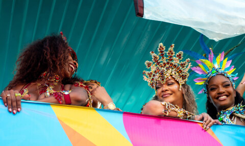 Image Not Found On Media Library