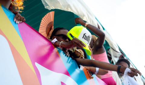 Image Not Found On Media Library