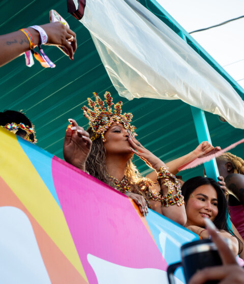 Image Not Found On Media Library