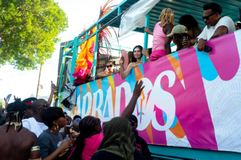 Image Not Found On Media Library