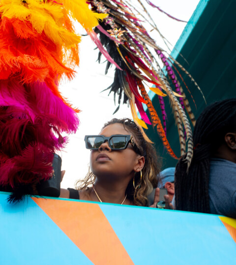 Image Not Found On Media Library