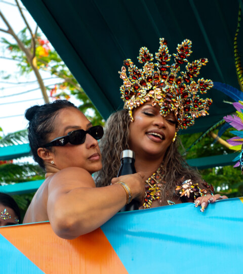 Image Not Found On Media Library