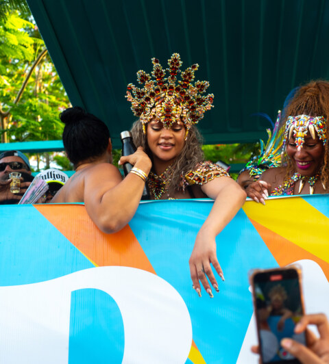 Image Not Found On Media Library