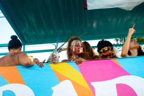 Image Not Found On Media Library