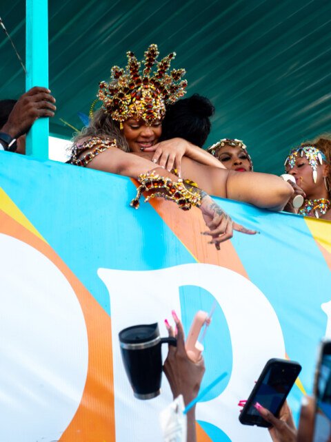 Image Not Found On Media Library