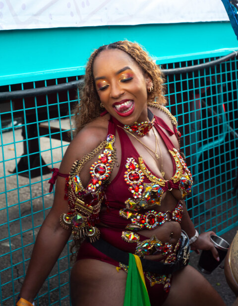 Image Not Found On Media Library