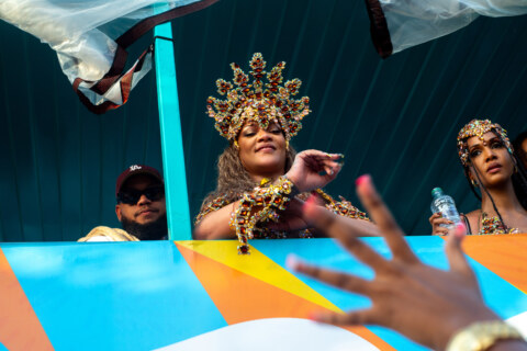 Image Not Found On Media Library