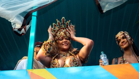 Image Not Found On Media Library