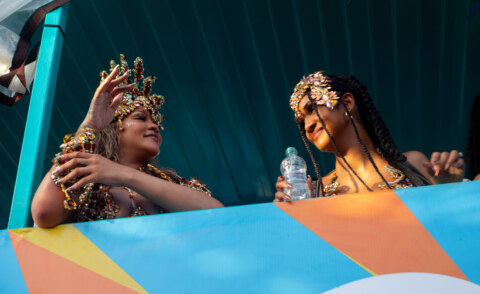 Image Not Found On Media Library