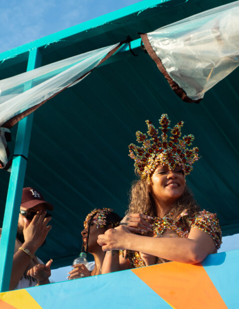 Image Not Found On Media Library