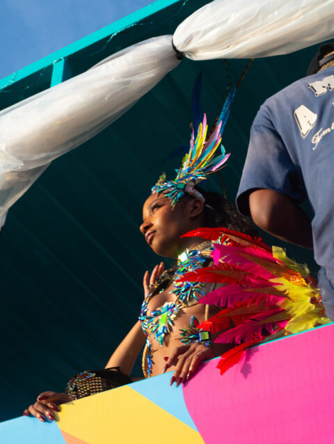 Image Not Found On Media Library