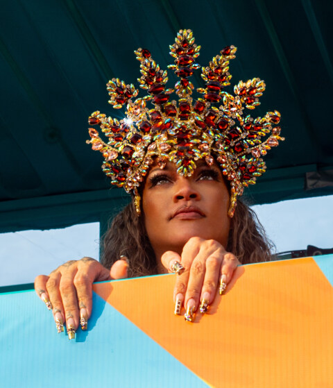 Image Not Found On Media Library