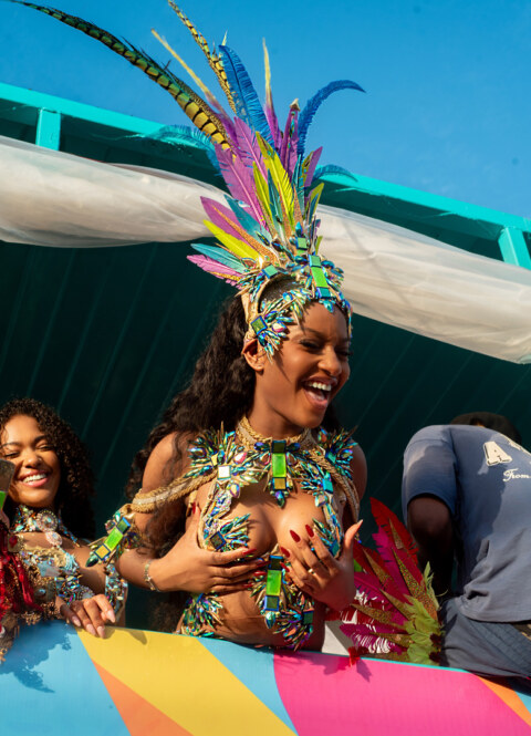 Image Not Found On Media Library