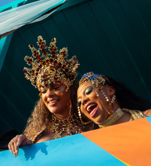 Image Not Found On Media Library