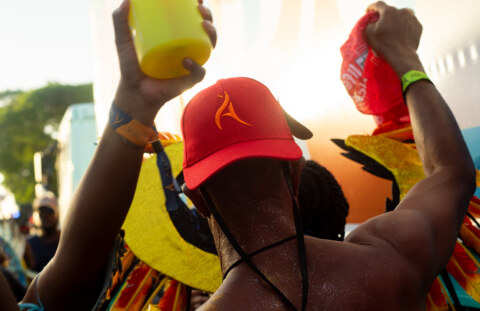 Image Not Found On Media Library