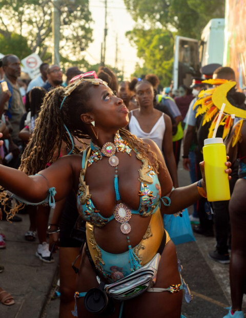 Image Not Found On Media Library