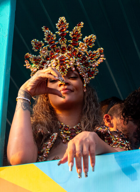 Image Not Found On Media Library