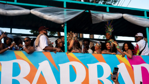 Image Not Found On Media Library