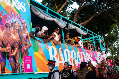 Image Not Found On Media Library