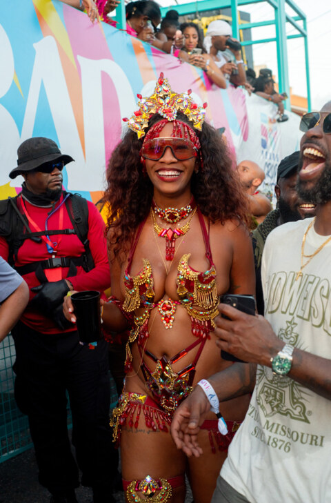 Image Not Found On Media Library