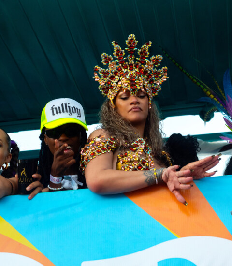 Image Not Found On Media Library